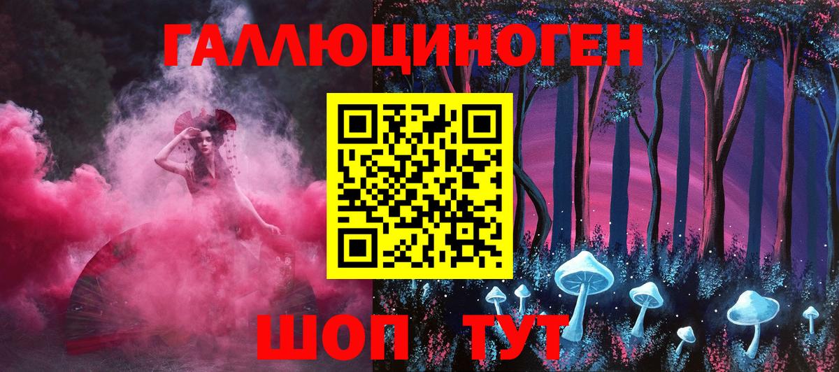 Галлюциногенные грибы Psilocybe Амурск